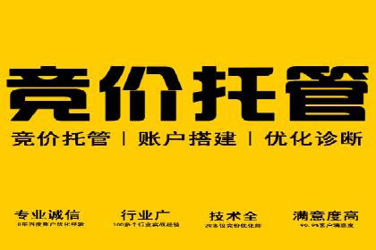 某知名企业SEM营销推广的全面策略